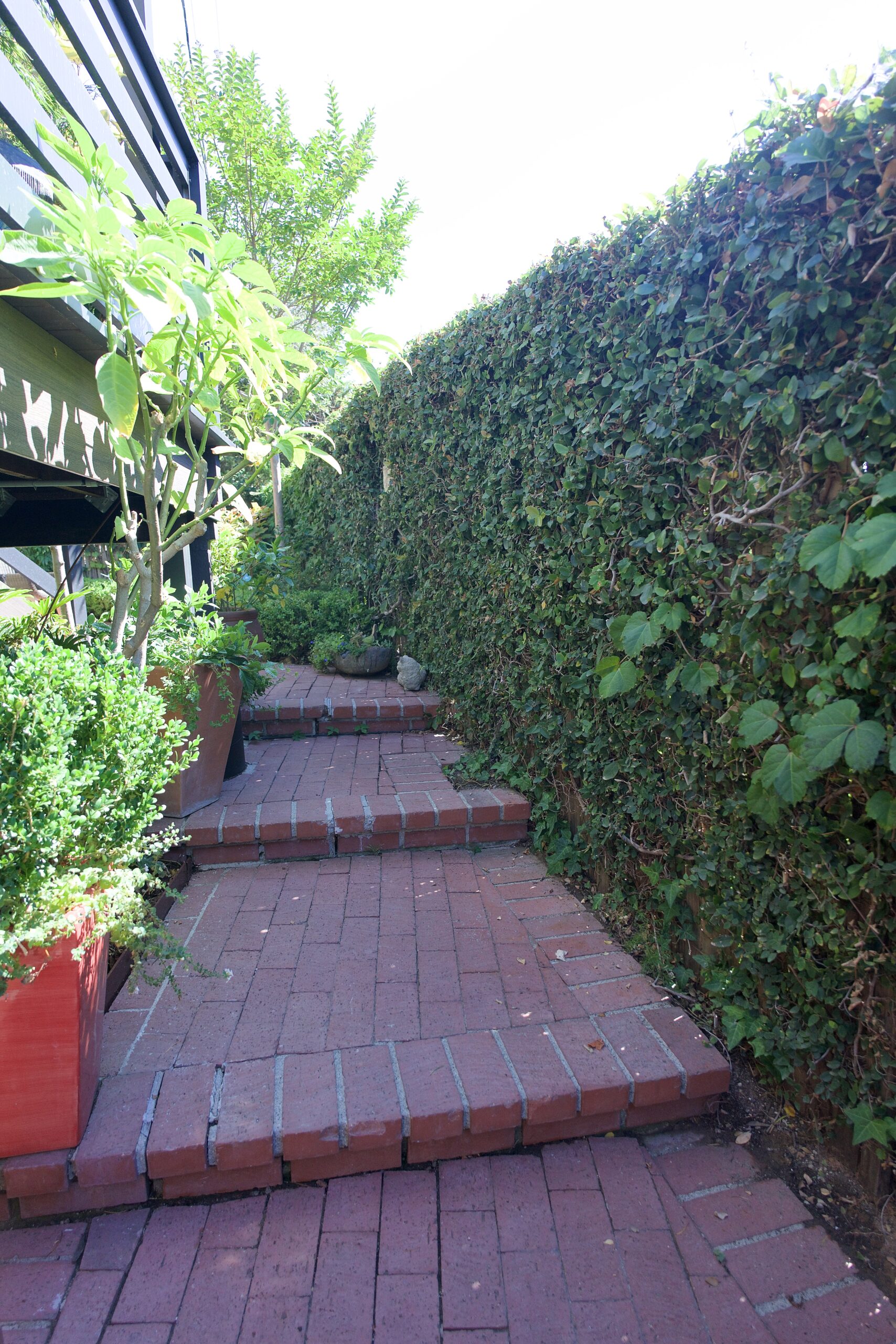 Paver walkway hardscaping detail