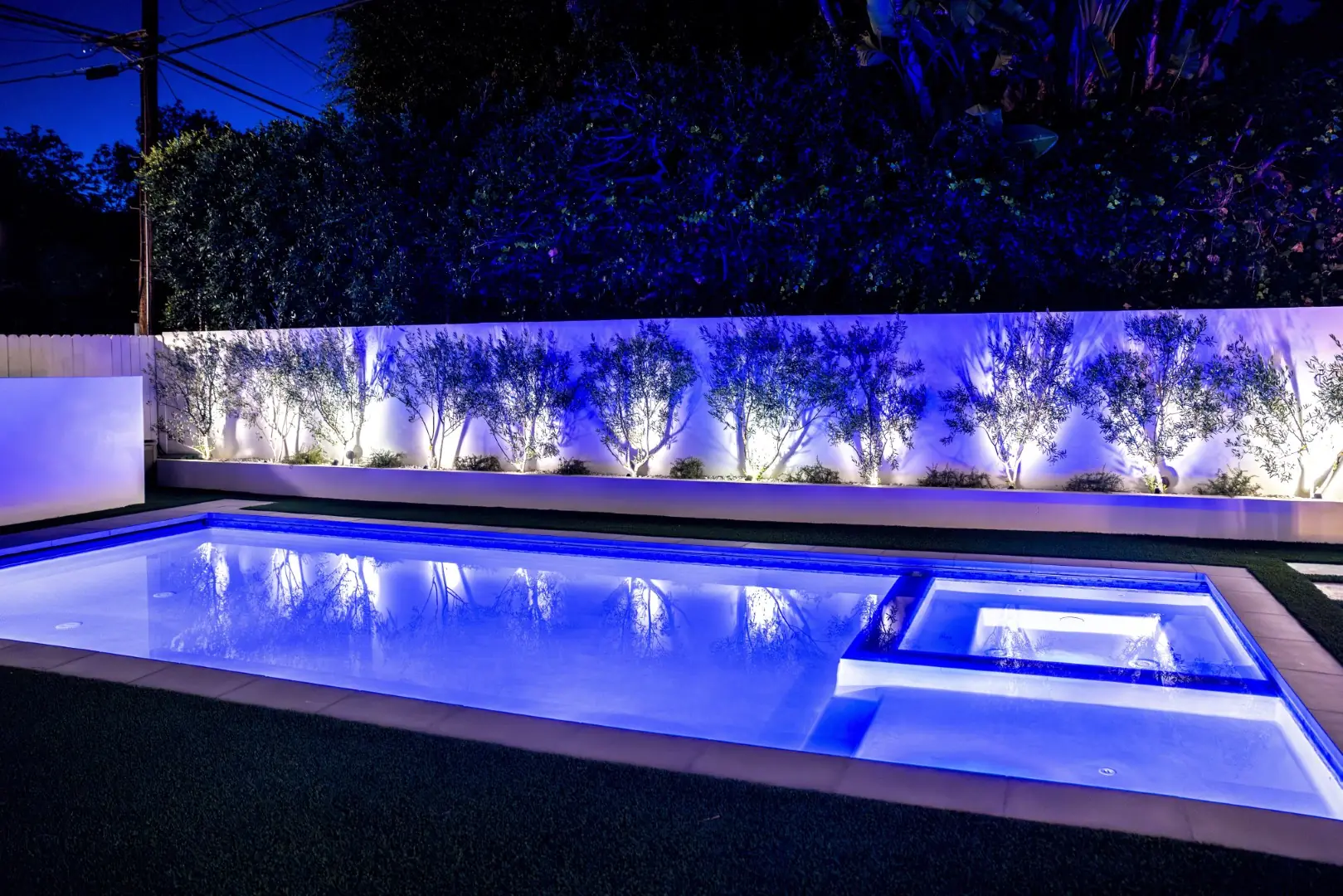 Sheens Project pool with an attached spa and LED lighting at night, framed by uplit olive trees in Los Angeles