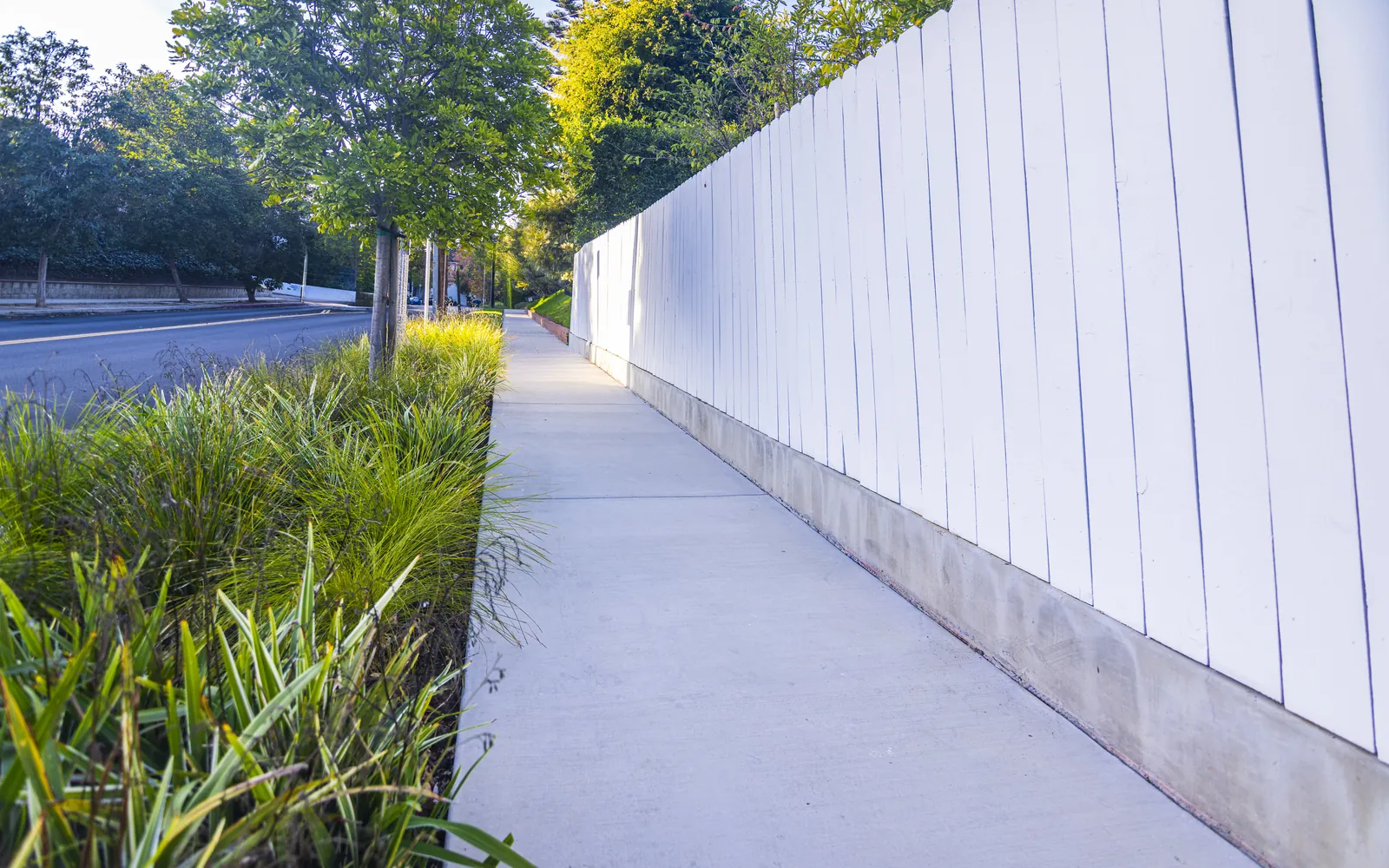 Drought-tolerant side-yard landscape with clean concrete path in Cheviot Hills