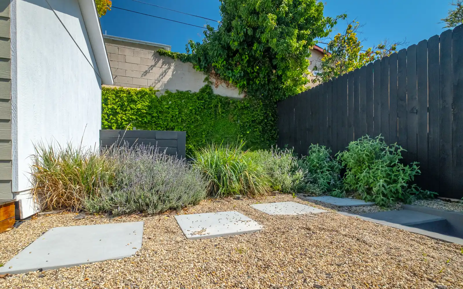 Eco-friendly backyard with gravel, stepping stones and native plants in Los Feliz