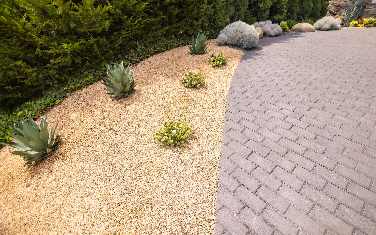 Herringbone paver walkway beside a drought-tolerant garden in Beverly Glen
