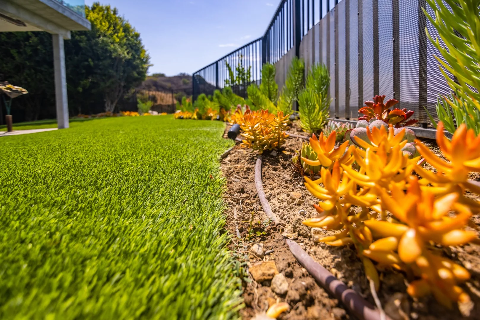 Drought-tolerant succulent bed with drip irrigation beside an artificial turf lawn and a metal fence on a Los Angeles hillside