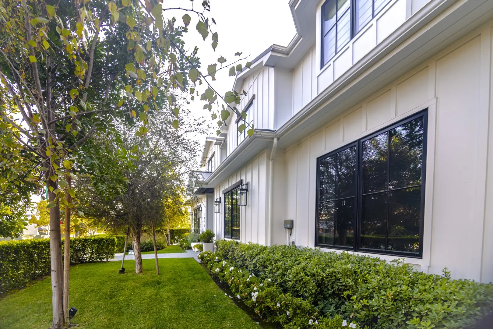 Flowering shrub border and lawn along the side of a board-and-batten home in Los Angeles, with young trees