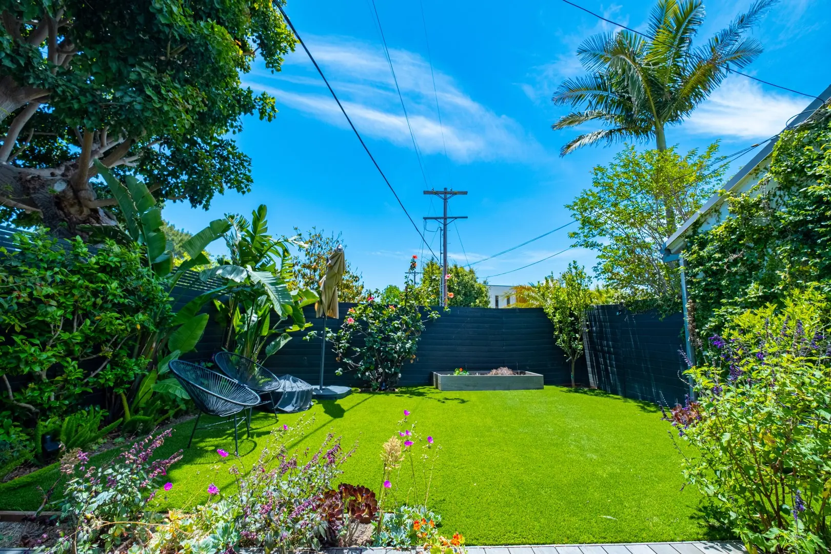 Backyard lawn surrounded by tropical plants and flowering perennials in Santa Monica