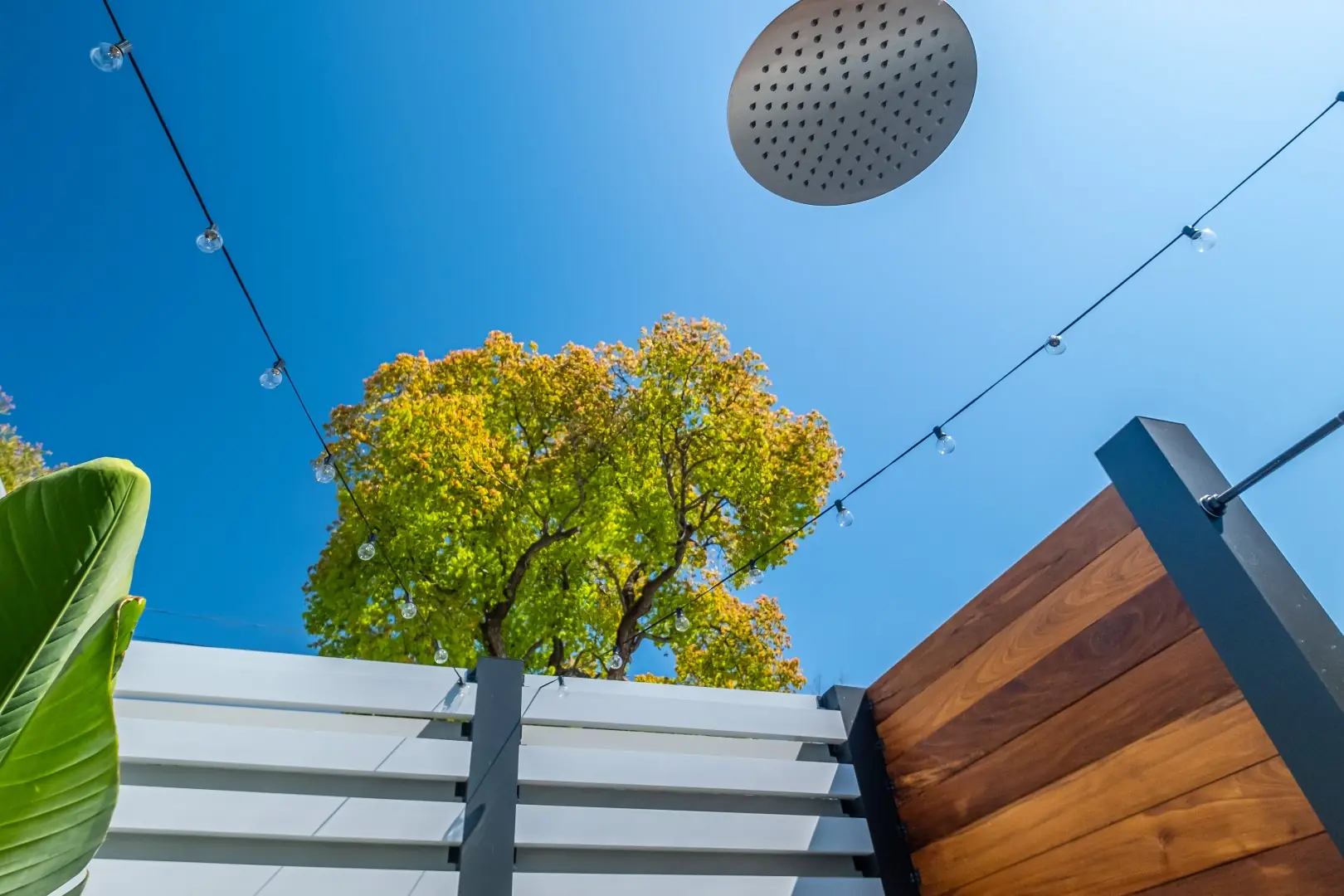 Rain shower head under string lights and open sky above a slat-and-wood privacy screen in Los Feliz